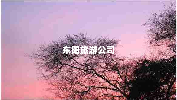 東陽(yáng)旅游公司