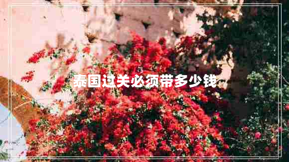 泰國(guó)過(guò)關(guān)必須帶多少錢