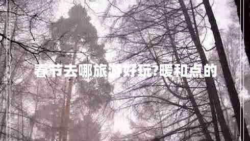 春節(jié)去哪旅游好玩?暖和點的