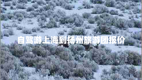 自駕游上海到揚(yáng)州旅游團(tuán)報(bào)價(jià) 自駕游上海到揚(yáng)州旅游團(tuán)報(bào)價(jià)