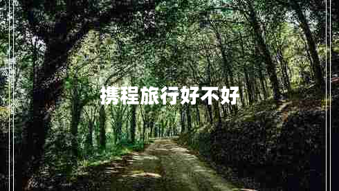 攜程旅行好不好
