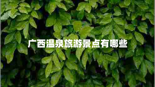 廣西溫泉旅游景點有哪些