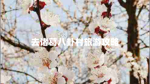 去諸葛八卦村旅游攻略