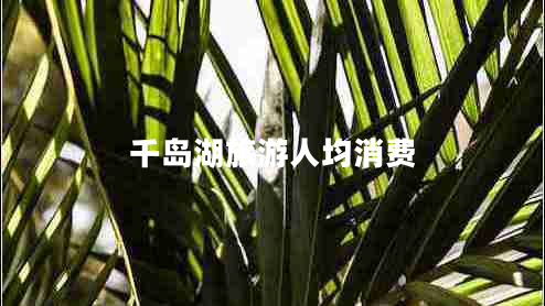 千島湖旅游人均消費