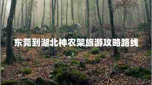 東莞到湖北神農(nóng)架旅游攻略路線