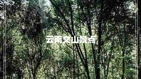 云南文山景點(diǎn)