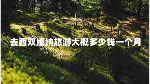 去西雙版納旅游大概多少錢一個(gè)月