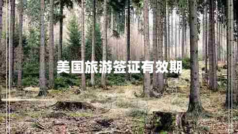 美國旅游簽證有效期