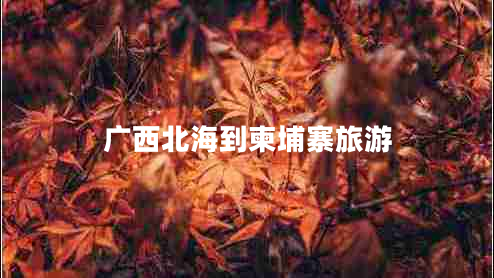 廣西北海到柬埔寨旅游