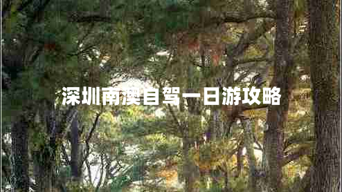 深圳南澳自駕一日游攻略