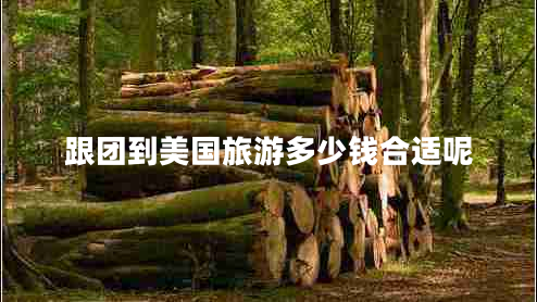 跟團(tuán)到美國(guó)旅游多少錢(qián)合適呢