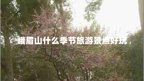 峨眉山什么季節(jié)旅游景點(diǎn)好玩