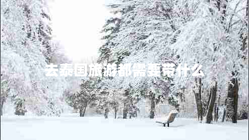 去泰國(guó)旅游都需要帶什么