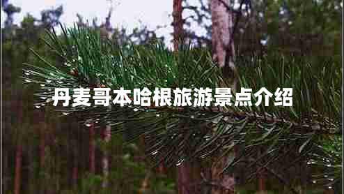 丹麥哥本哈根旅游景點介紹 丹麥哥本哈根旅游景點介紹