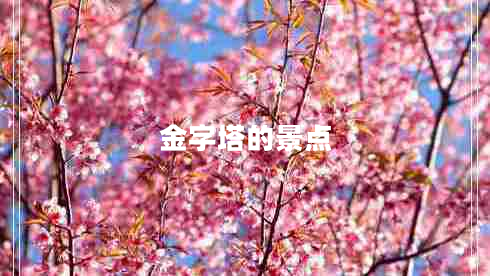 金字塔的景點(diǎn)