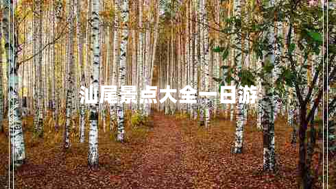 汕尾景點(diǎn)大全一日游