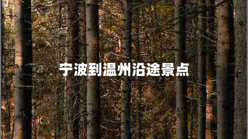 寧波到溫州沿途景點(diǎn)