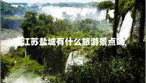江蘇鹽城有什么旅游景點(diǎn)嗎