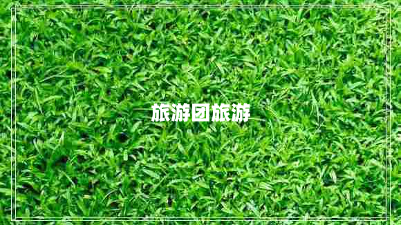旅游團旅游 旅游團旅游
