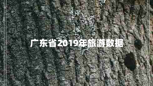 廣東省2019年旅游數(shù)據(jù) 廣東省2019年旅游數(shù)據(jù)