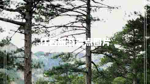 江西旅游景點圖片