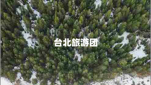 臺(tái)北旅游團(tuán) 臺(tái)北旅游團(tuán)