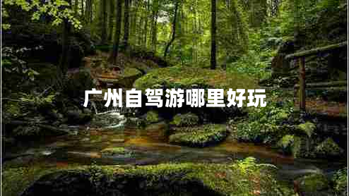 廣州自駕游哪里好玩