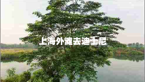 上海外灘去迪士尼