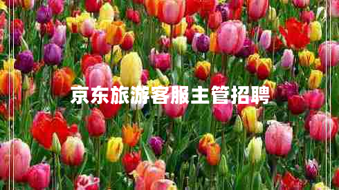 京東旅游客服主管招聘