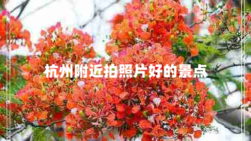杭州附近拍照片好的景點(diǎn)
