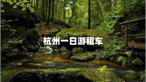 杭州一日游租車