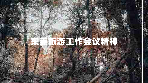 東莞旅游工作會(huì)議精神