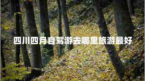 四川四月自駕游去哪里旅游最好
