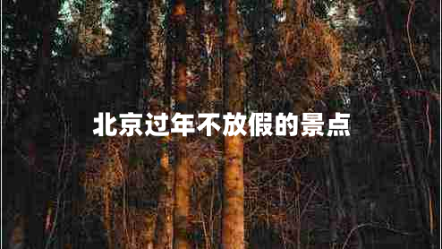北京過年不放假的景點 北京過年不放假的景點