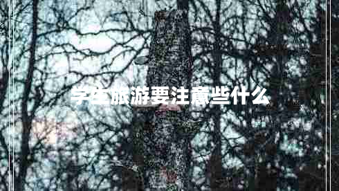 學生旅游要注意些什么