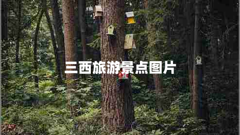 三西旅游景點圖片