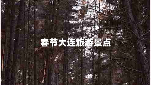 春節(jié)大連旅游景點(diǎn)