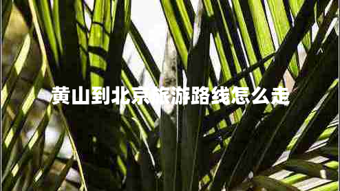 黃山到北京旅游路線怎么走