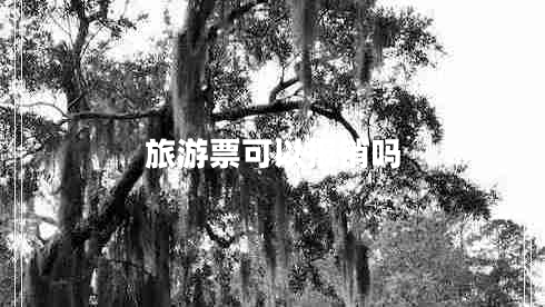 旅游票可以報銷嗎