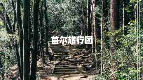 首爾旅行團(tuán)