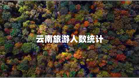 云南旅游人數(shù)統(tǒng)計(jì)