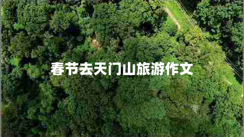 春節(jié)去天門(mén)山旅游作文