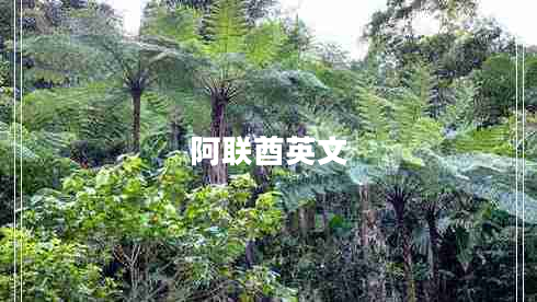 阿聯(lián)酋英文 阿聯(lián)酋英文