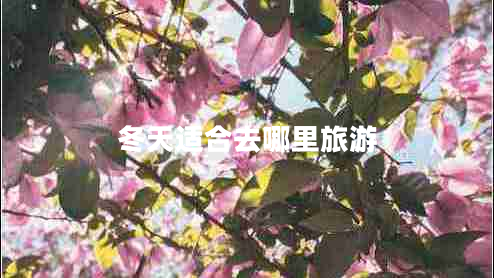 冬天適合去哪里旅游