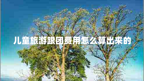 兒童旅游跟團(tuán)費(fèi)用怎么算出來的