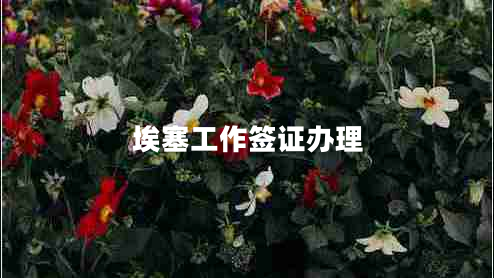 埃塞工作簽證辦理