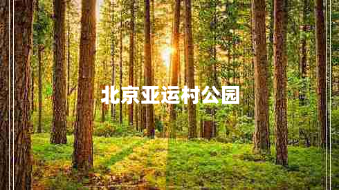 北京亞運村公園