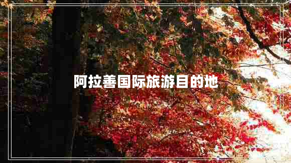 阿拉善國(guó)際旅游目的地