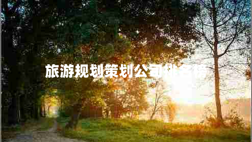 旅游規(guī)劃策劃公司排名榜