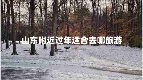 山東附近過年適合去哪旅游
